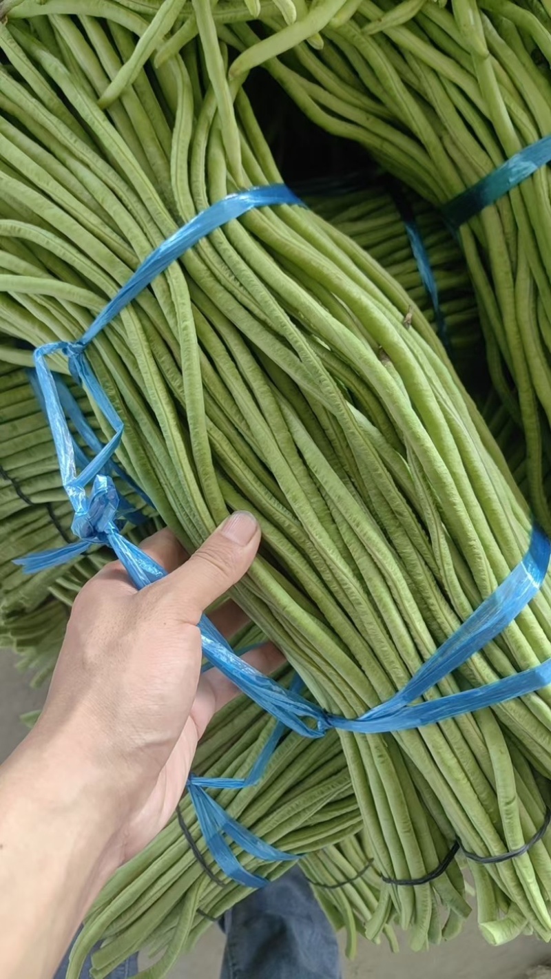 【精品】湖北长豆角、青豆角、豇豆，产地直发。