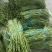 【精品】湖北长豆角、青豆角、豇豆，产地直发。