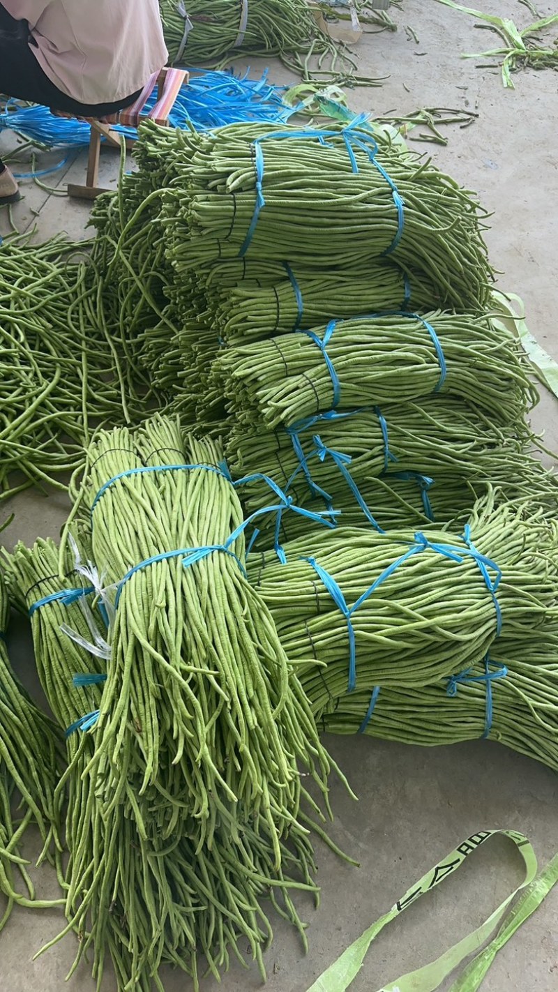 【精品】湖北长豆角、青豆角、豇豆，产地直发。