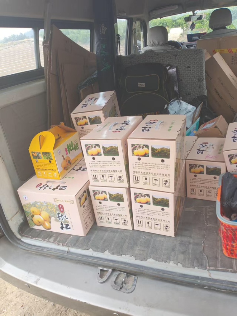 枇杷品质保证服务周到产地直发价格美丽