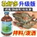 壮虾多虾蟹红牛诱食促消化水产养殖专用虾蟹防偷死抗应激