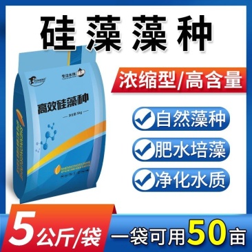 高效硅藻藻种水产养殖肥水调水培藻净化水质抑制有害藻