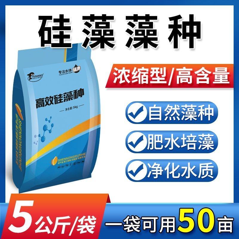 高效硅藻藻种水产养殖肥水调水培藻净化水质抑制有害藻