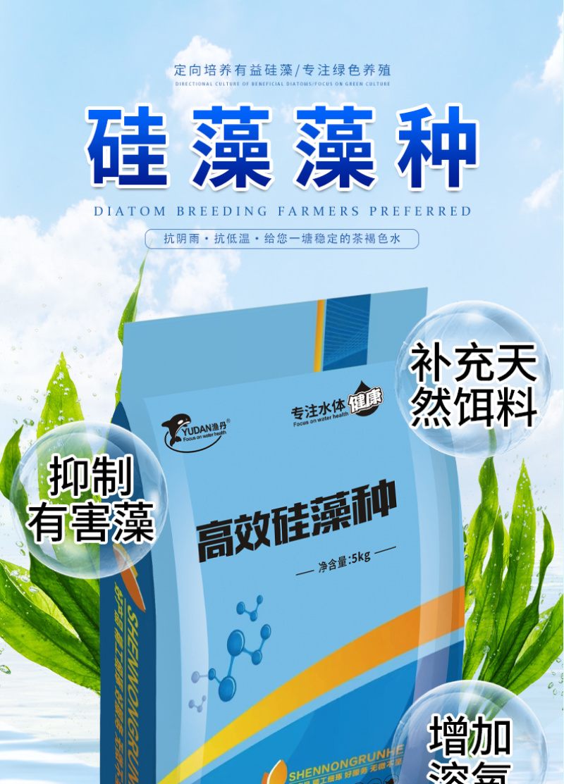 高效硅藻藻种水产养殖肥水调水培藻净化水质抑制有害藻