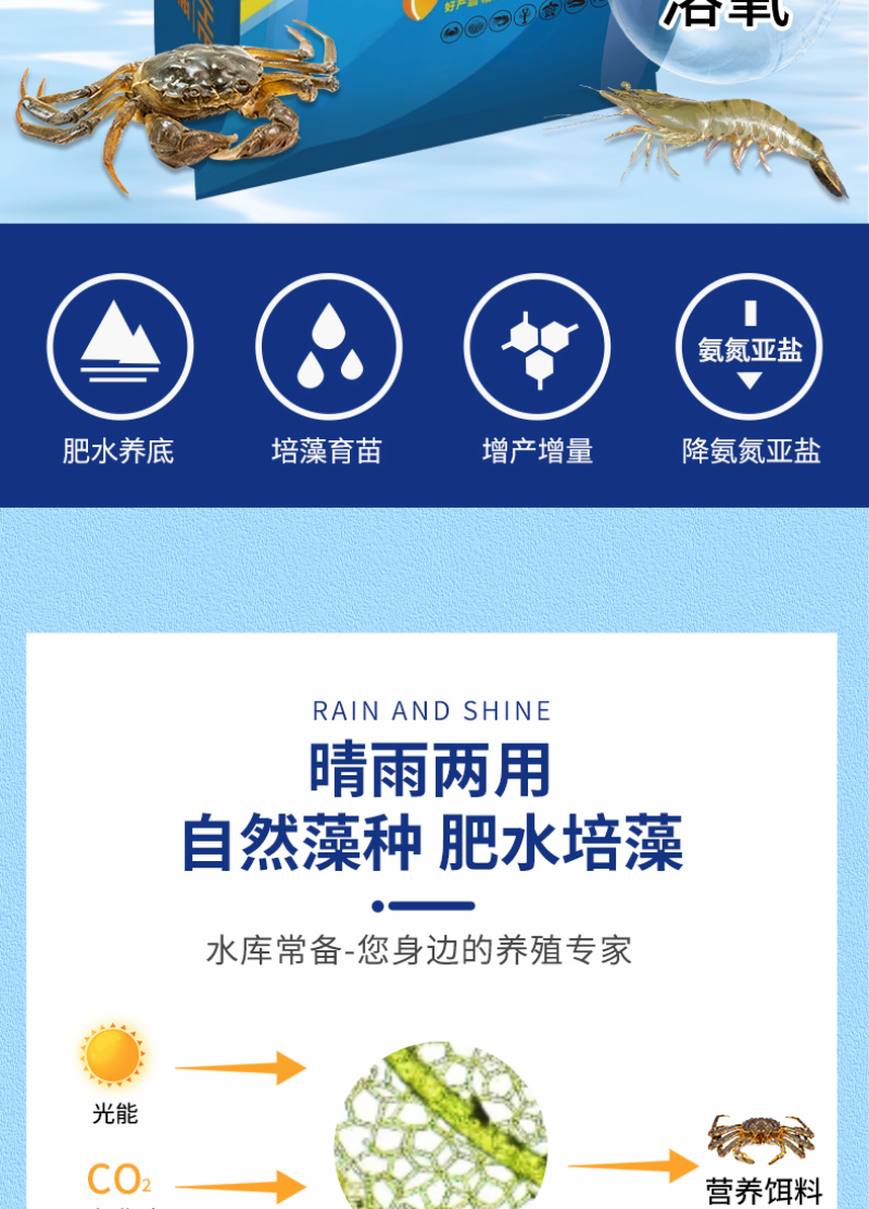 高效硅藻藻种水产养殖肥水调水培藻净化水质抑制有害藻