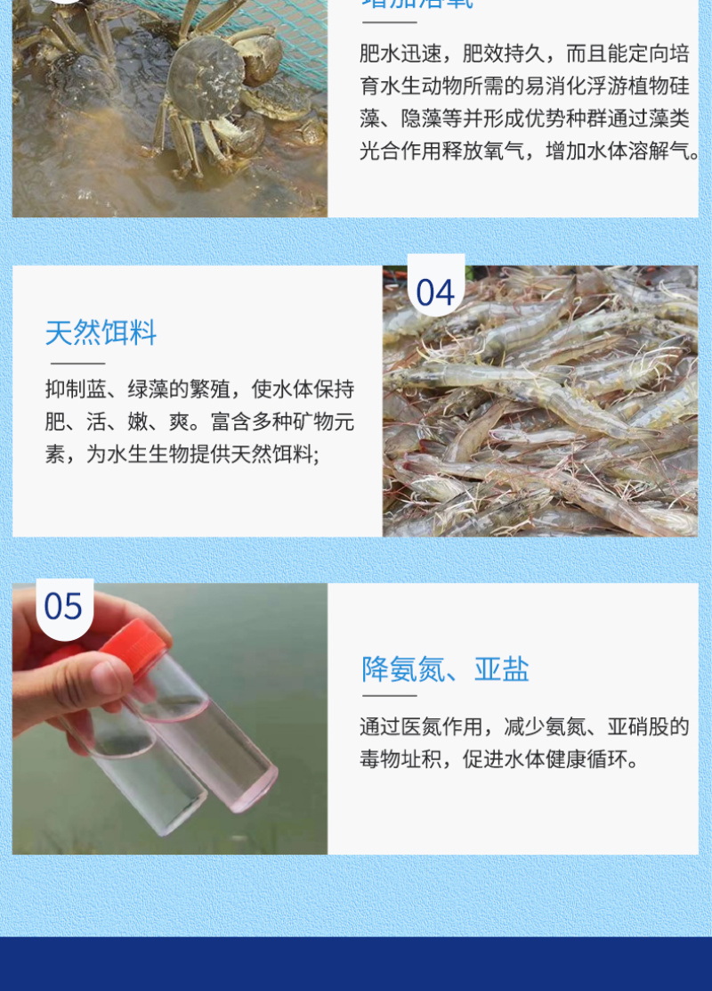 高效硅藻藻种水产养殖肥水调水培藻净化水质抑制有害藻