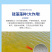 高效硅藻藻种水产养殖肥水调水培藻净化水质抑制有害藻