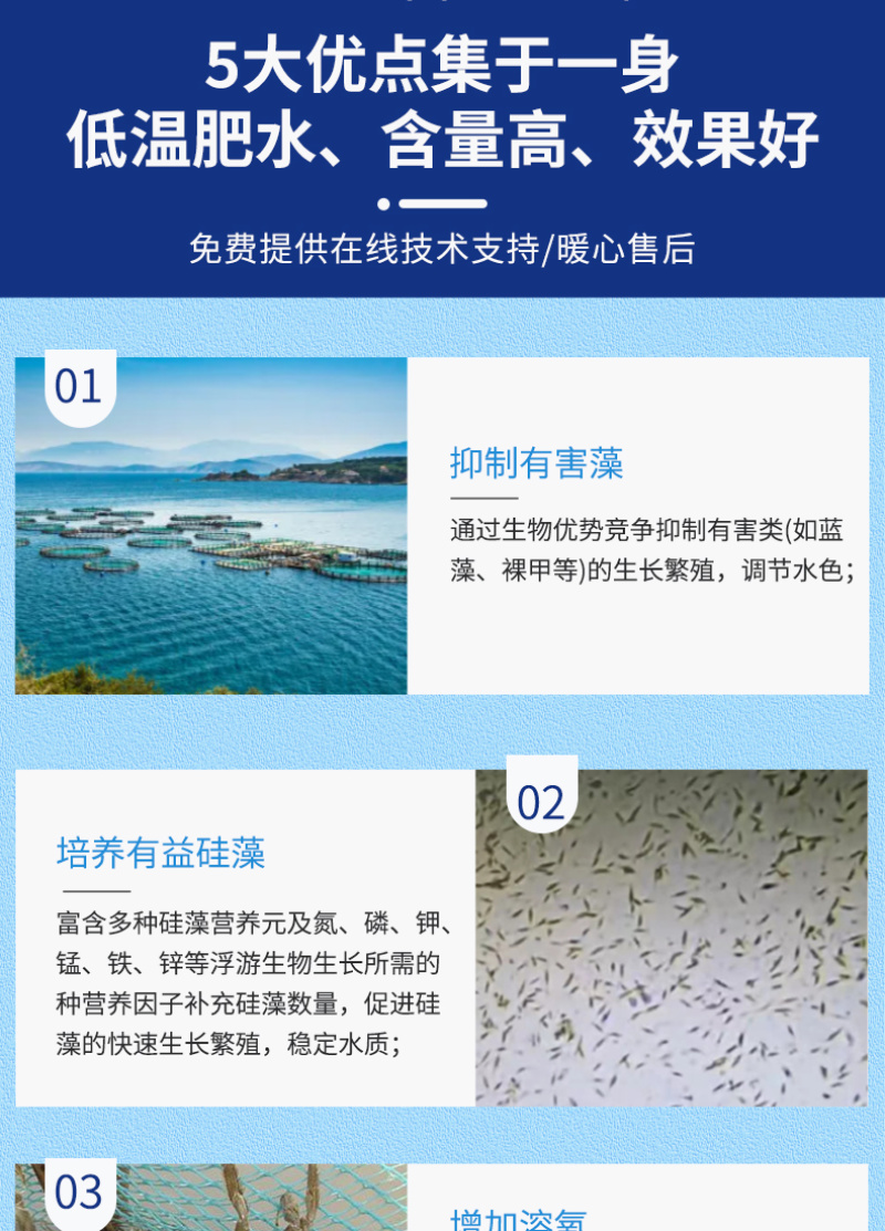 高效硅藻藻种水产养殖肥水调水培藻净化水质抑制有害藻