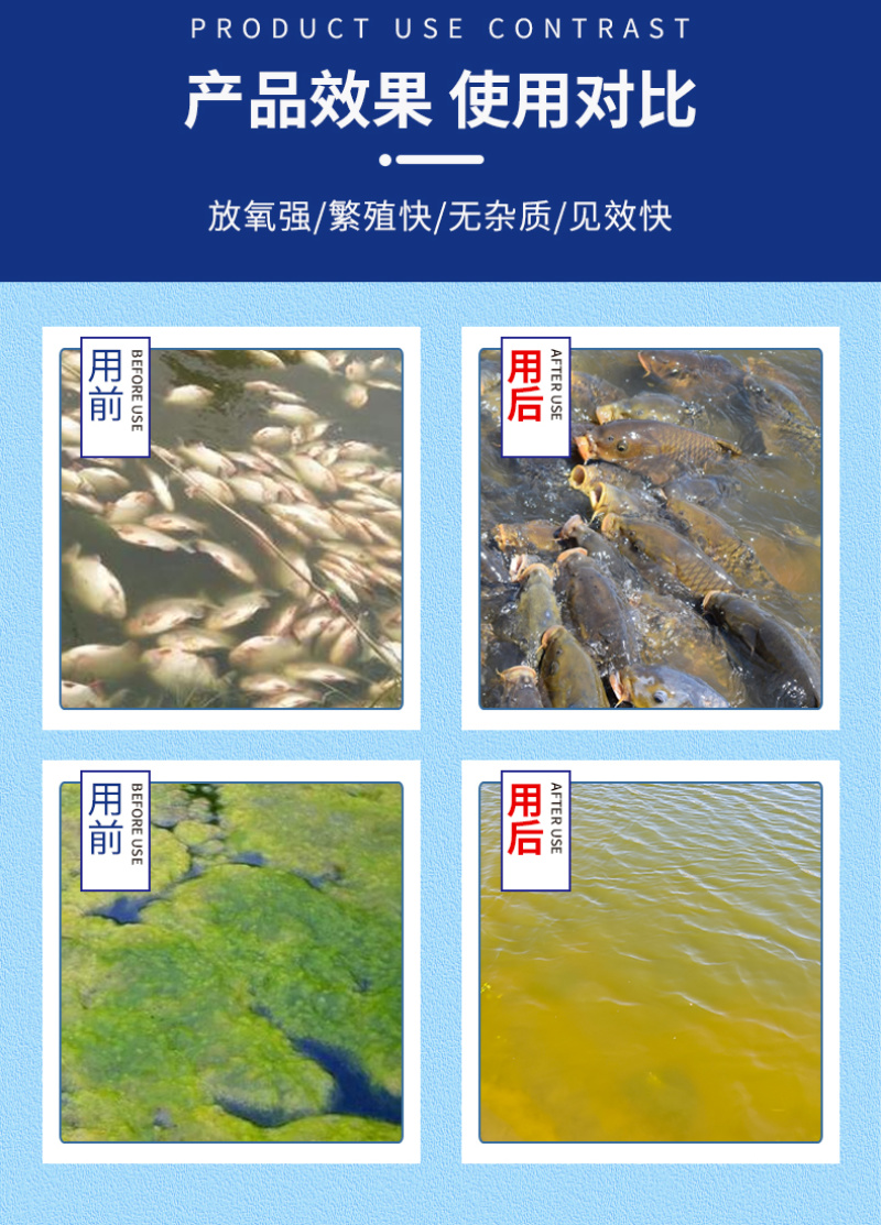 高效硅藻藻种水产养殖肥水调水培藻净化水质抑制有害藻