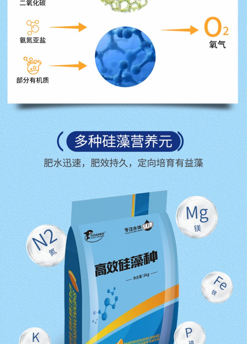 高效硅藻藻种水产养殖肥水调水培藻净化水质抑制有害藻