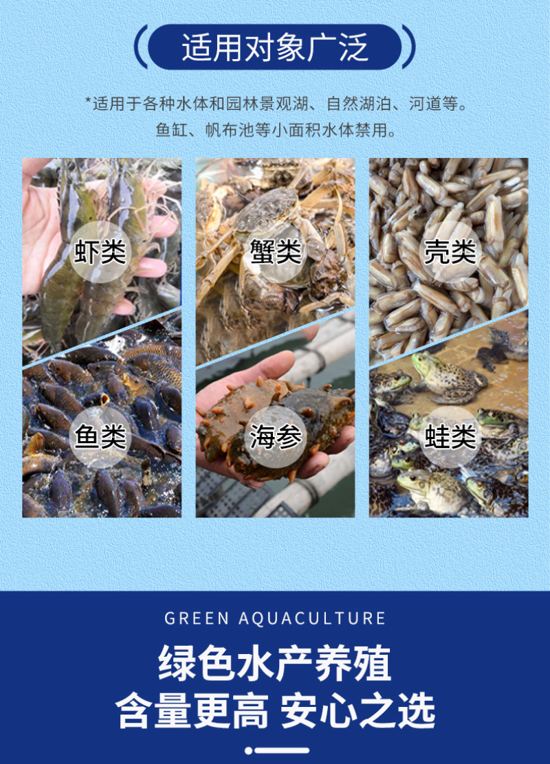 高效硅藻藻种水产养殖肥水调水培藻净化水质抑制有害藻