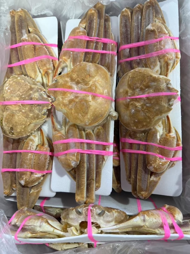 高品质、松叶蟹、板蟹