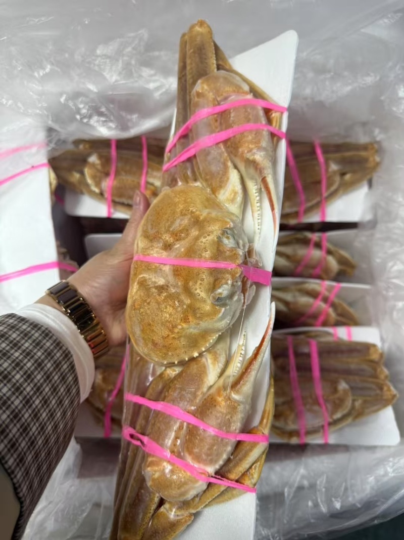 高品质、松叶蟹、板蟹