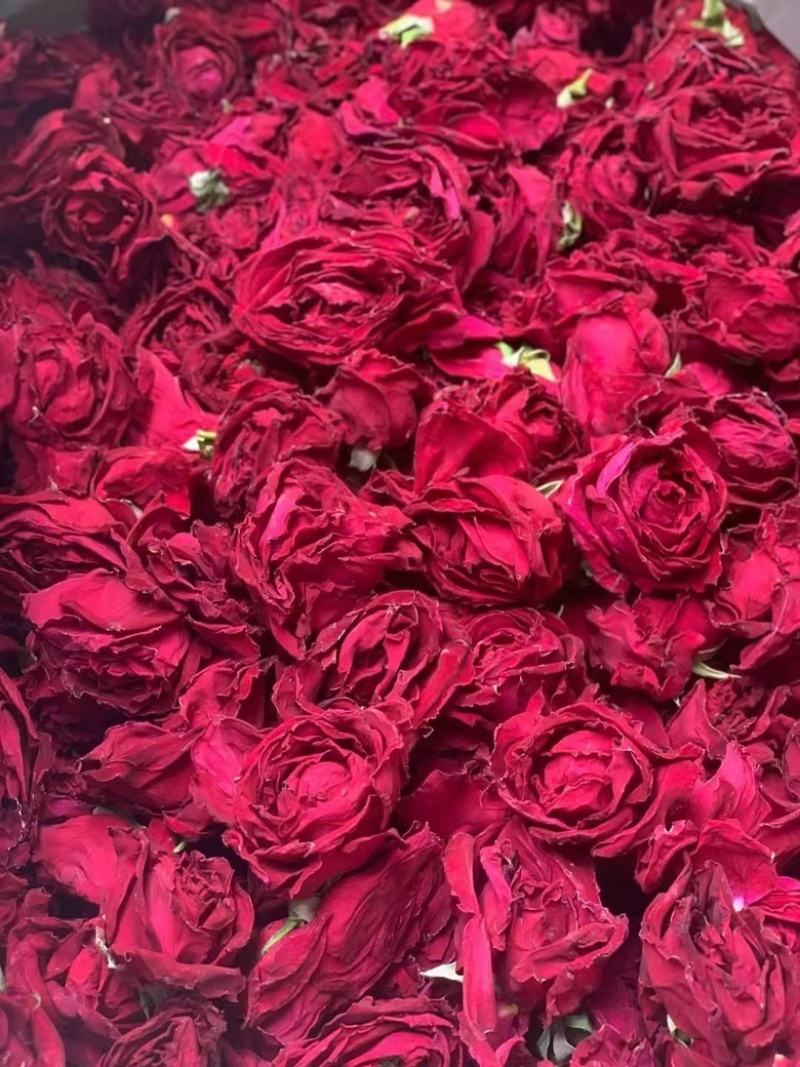 墨红玫瑰云南2025新货灌装云南特产