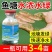 芽孢皇枯草芽孢杆菌水产养殖专用调水净水肥水水浓水绿
