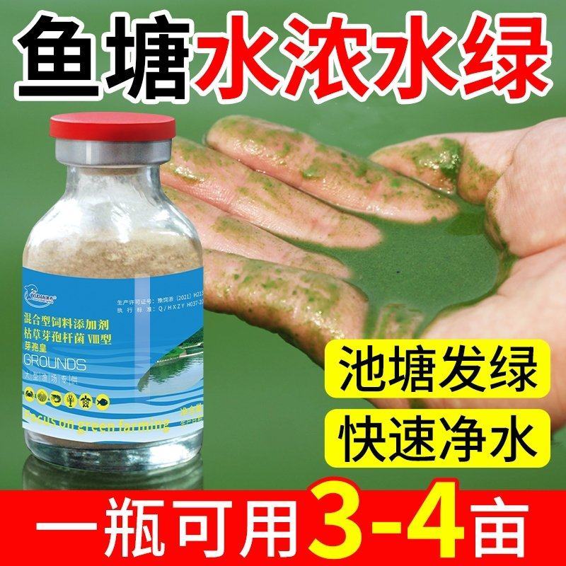 芽孢皇枯草芽孢杆菌水产养殖专用调水净水肥水水浓水绿