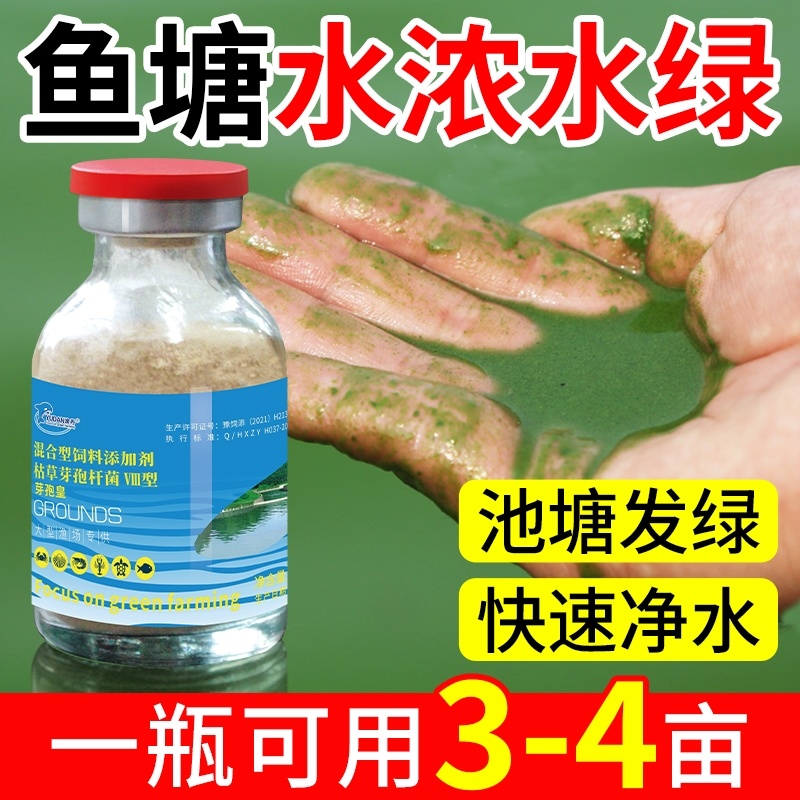 芽孢皇枯草芽孢杆菌水产养殖专用调水净水肥水水浓水绿