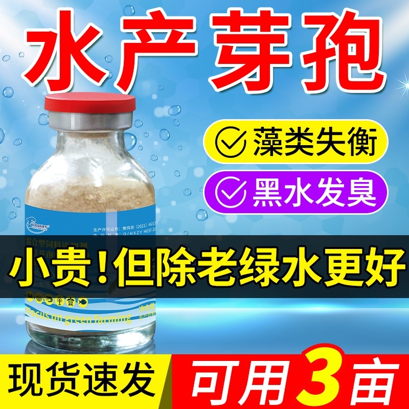 芽孢皇枯草芽孢杆菌水产养殖专用调水净水肥水水浓水绿