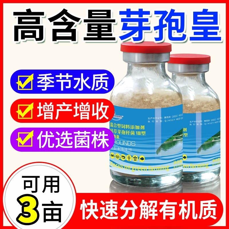 芽孢皇枯草芽孢杆菌水产养殖专用调水净水肥水水浓水绿