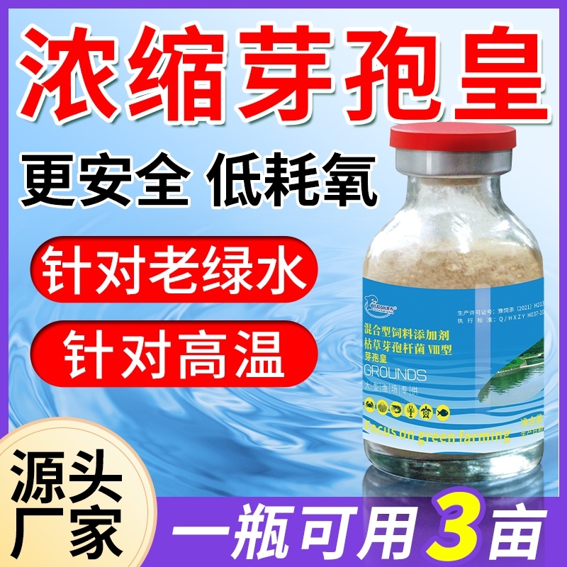 芽孢皇枯草芽孢杆菌水产养殖专用调水净水肥水水浓水绿