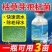 芽孢皇枯草芽孢杆菌水产养殖专用调水净水肥水水浓水绿