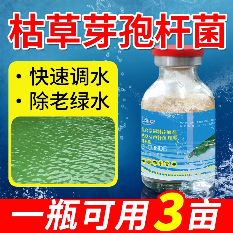 芽孢皇枯草芽孢杆菌水产养殖专用调水净水肥水水浓水绿