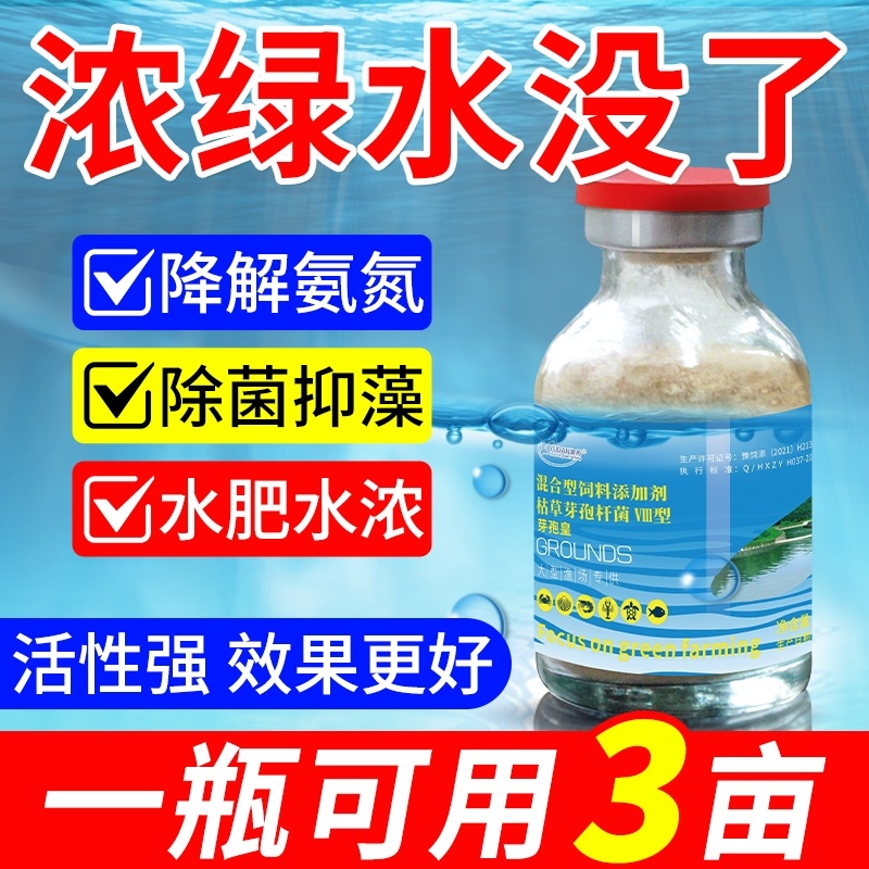 芽孢皇枯草芽孢杆菌水产养殖专用调水净水肥水水浓水绿