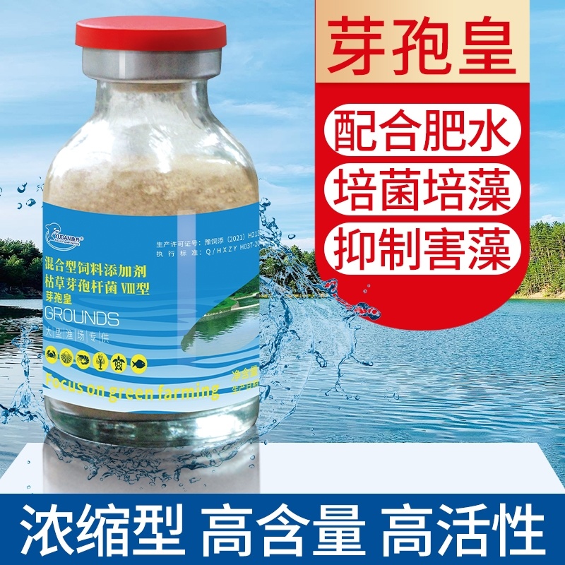 芽孢皇枯草芽孢杆菌水产养殖专用调水净水肥水水浓水绿