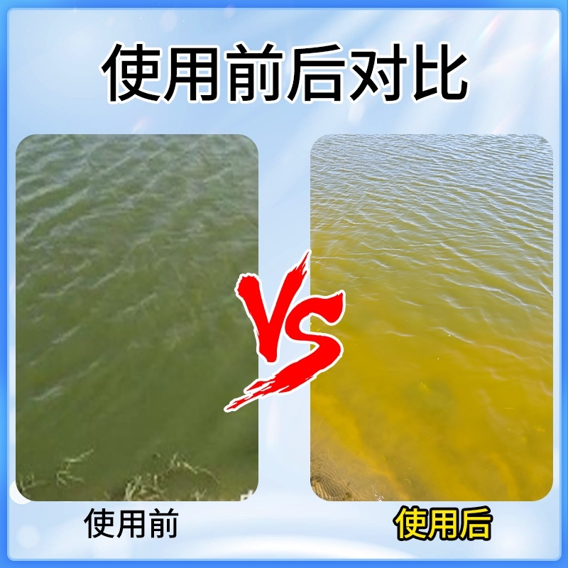 芽孢皇枯草芽孢杆菌水产养殖专用调水净水肥水水浓水绿