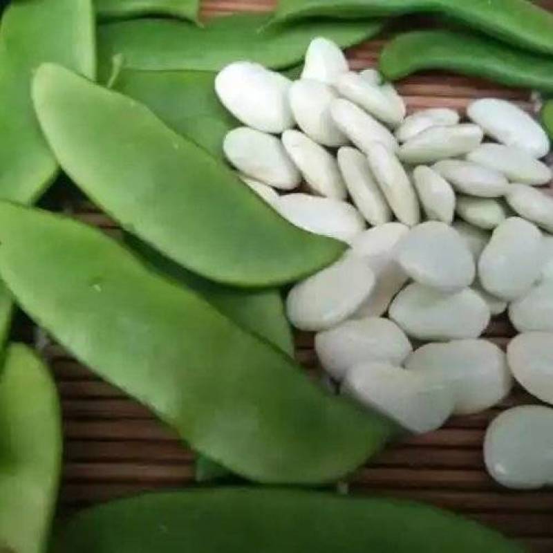 白玉豆洋扁豆芸豆白扁豆精品一级品质