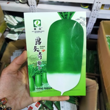 露头青萝卜种子秋季种植口感甜脆青多白少蔬菜种子