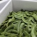 白玉豆洋扁豆芸豆白扁豆精品一级品质