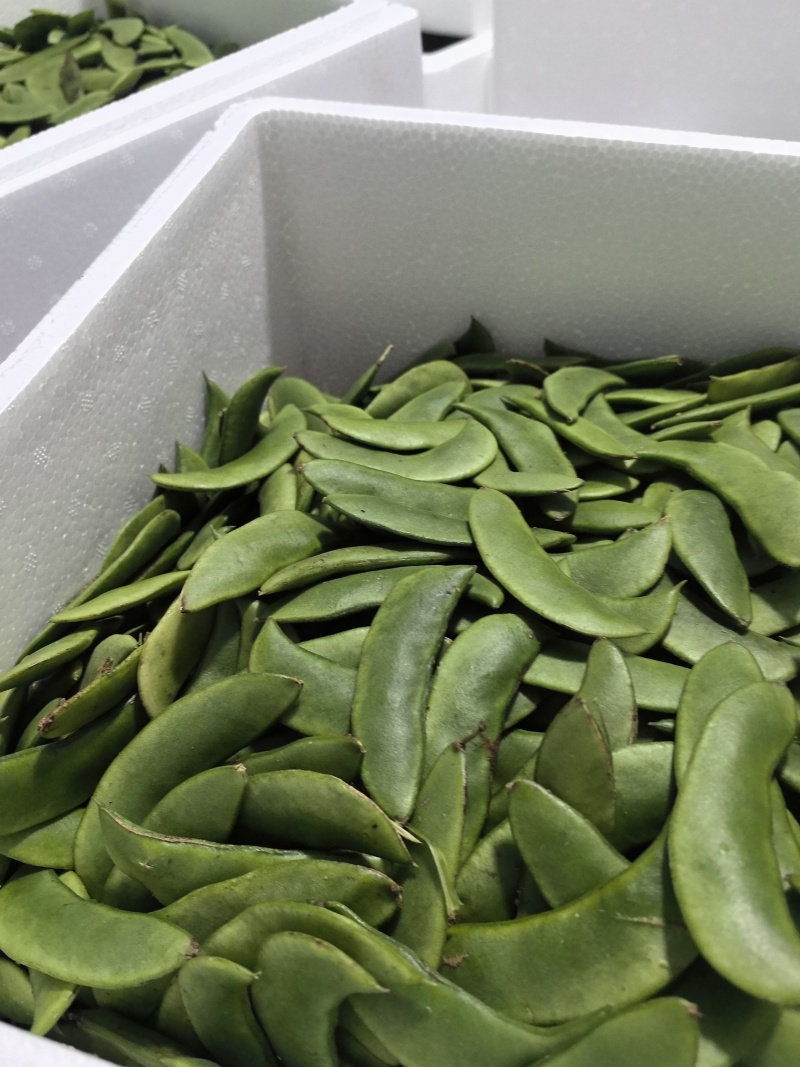 白玉豆洋扁豆芸豆白扁豆精品一级品质