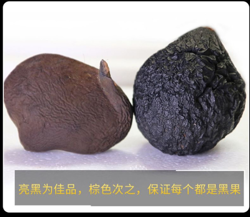 云南鸡纵胆乌灵参云南特产野生雷震子大山