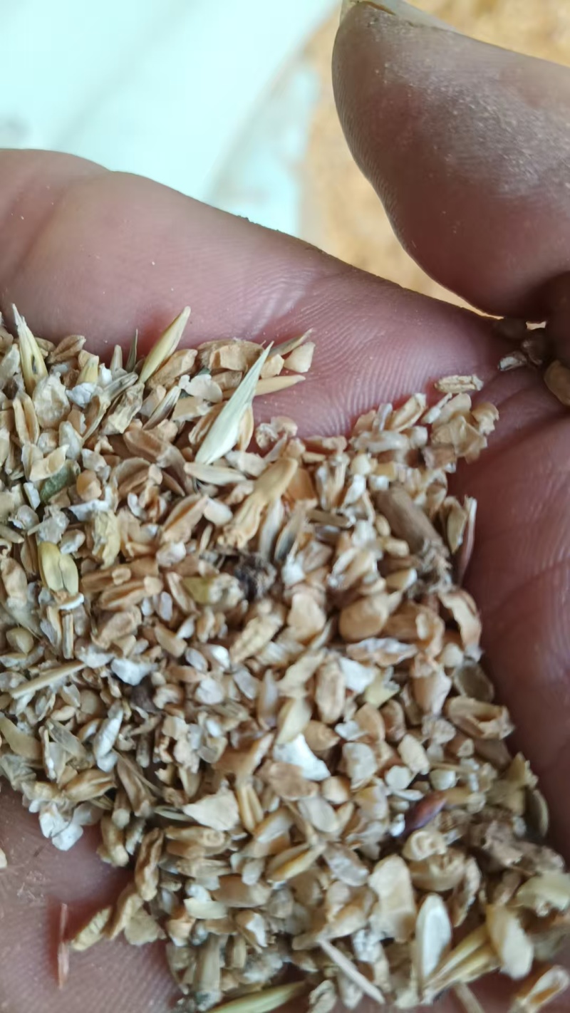 碎小麦/河南新碎麦/加工厂发货/可以视频看货/价格商议