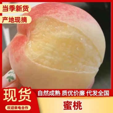 四川水蜜桃品质保证诚信经营欢迎联系接商超市场电商