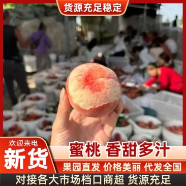 四川龙泉水蜜桃品质保证诚信经营接商超市场电商