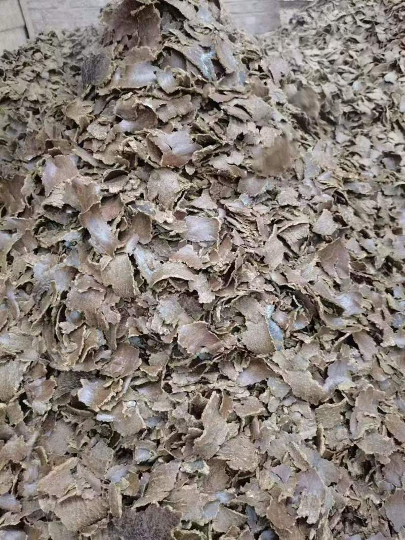 棉籽饼大量有货产地直发价格可谈可发全国