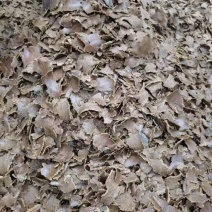 棉籽饼大量有货产地直发价格可谈可发全国