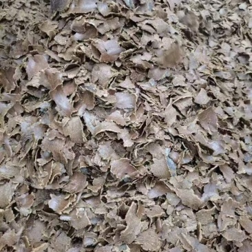 棉籽饼大量有货产地直发价格可谈可发全国