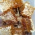 灵山蜂蜜大量100斤以批