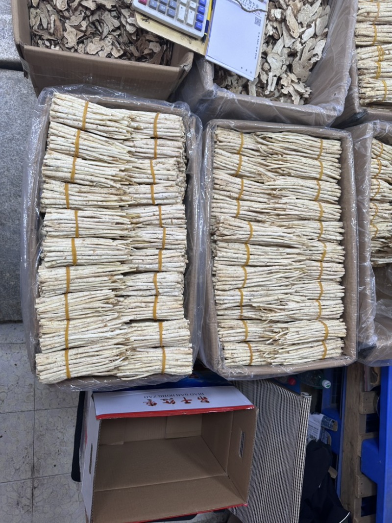 沙参节，沙参把，都有靓货