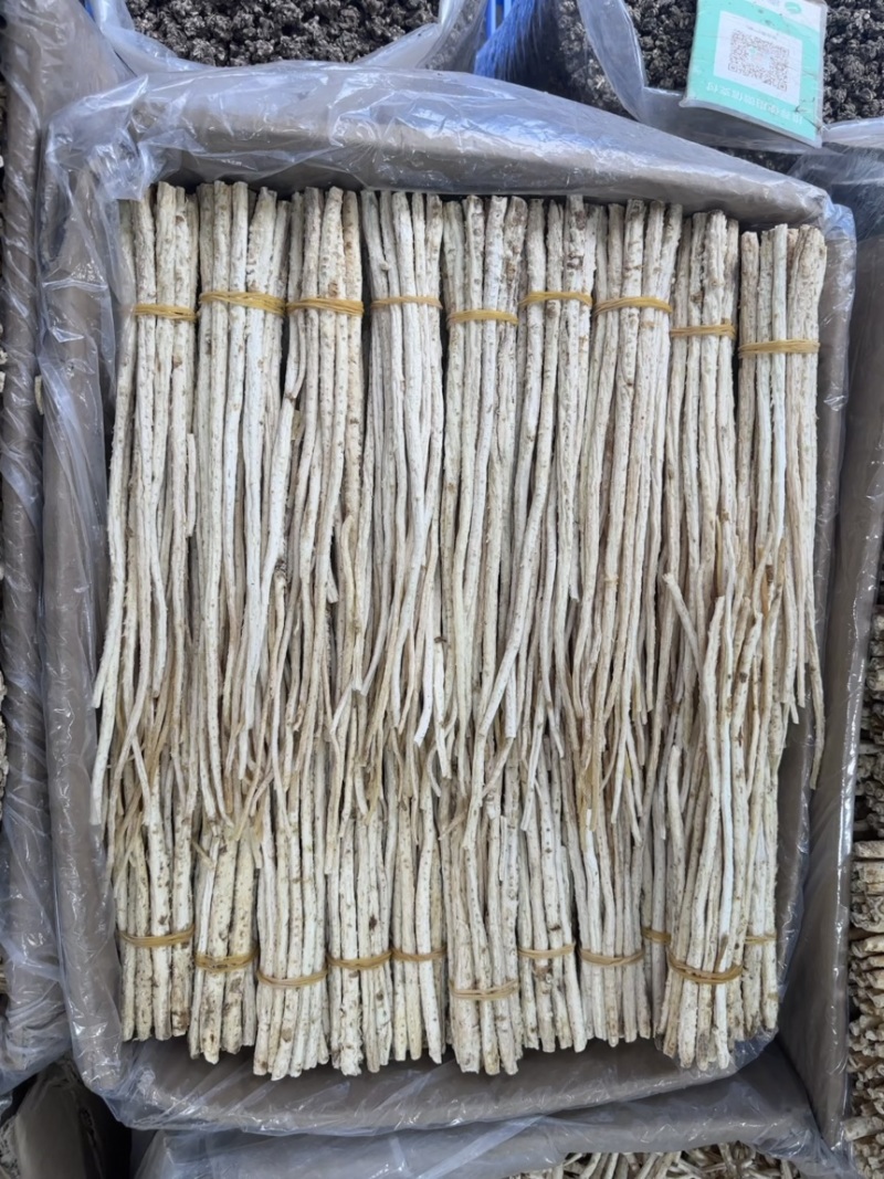 沙参节，沙参把，都有靓货