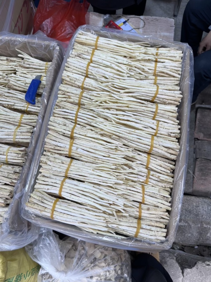 沙参节，沙参把，都有靓货