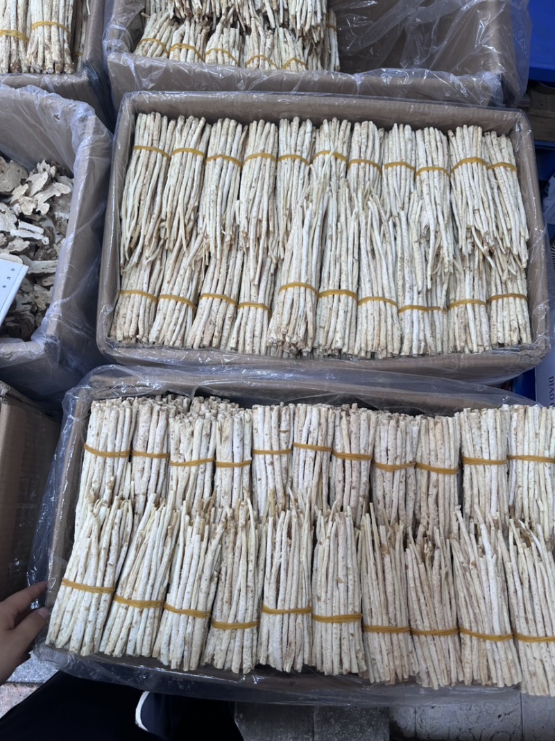 沙参节，沙参把，都有靓货
