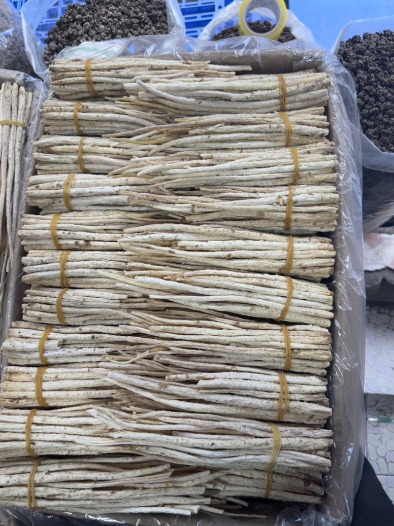 沙参节，沙参把，都有靓货