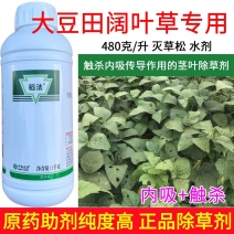 移栽水稻田阔叶草专用480克/升灭草松触杀内吸传导茎
