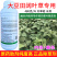 移栽水稻田阔叶草专用480克/升灭草松触杀内吸传导茎