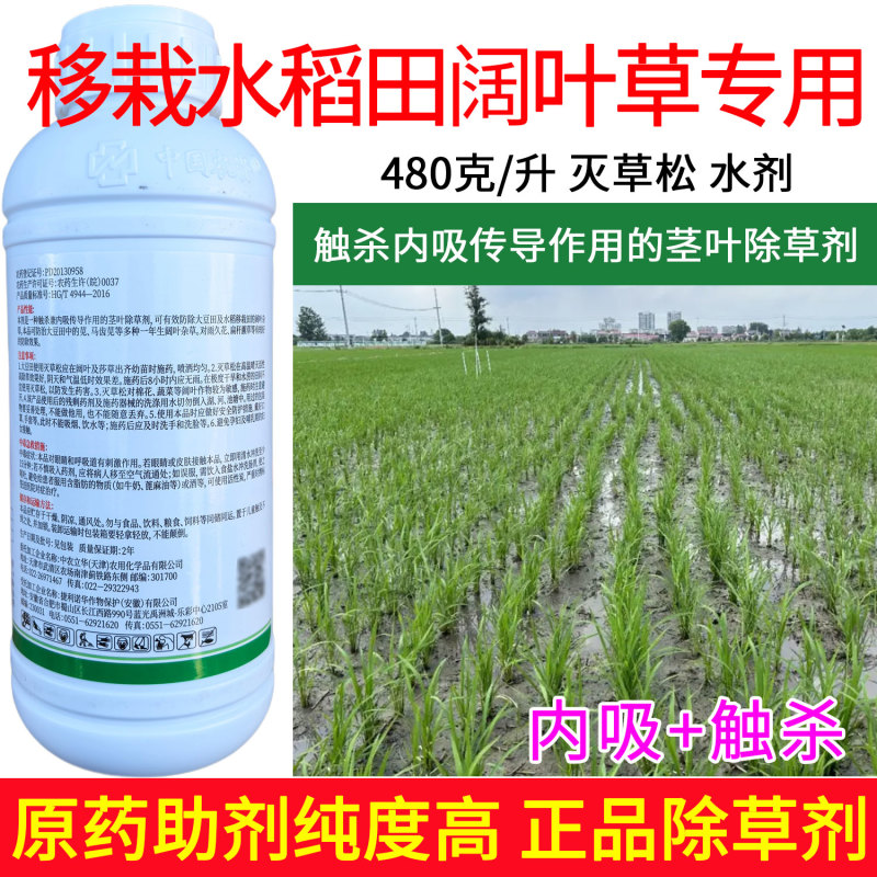 移栽水稻田阔叶草专用480克/升灭草松触杀内吸传导茎