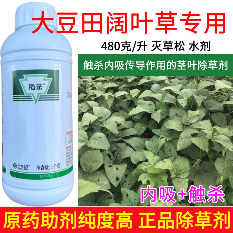 移栽水稻田阔叶草专用480克/升灭草松触杀内吸传导茎